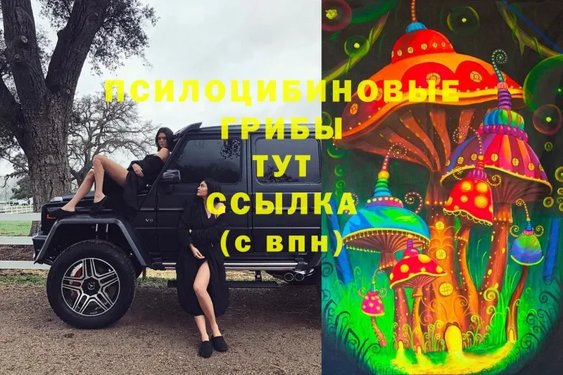 Галлюциногенные грибы MAGIC MUSHROOMS  omg tor  Донецк 